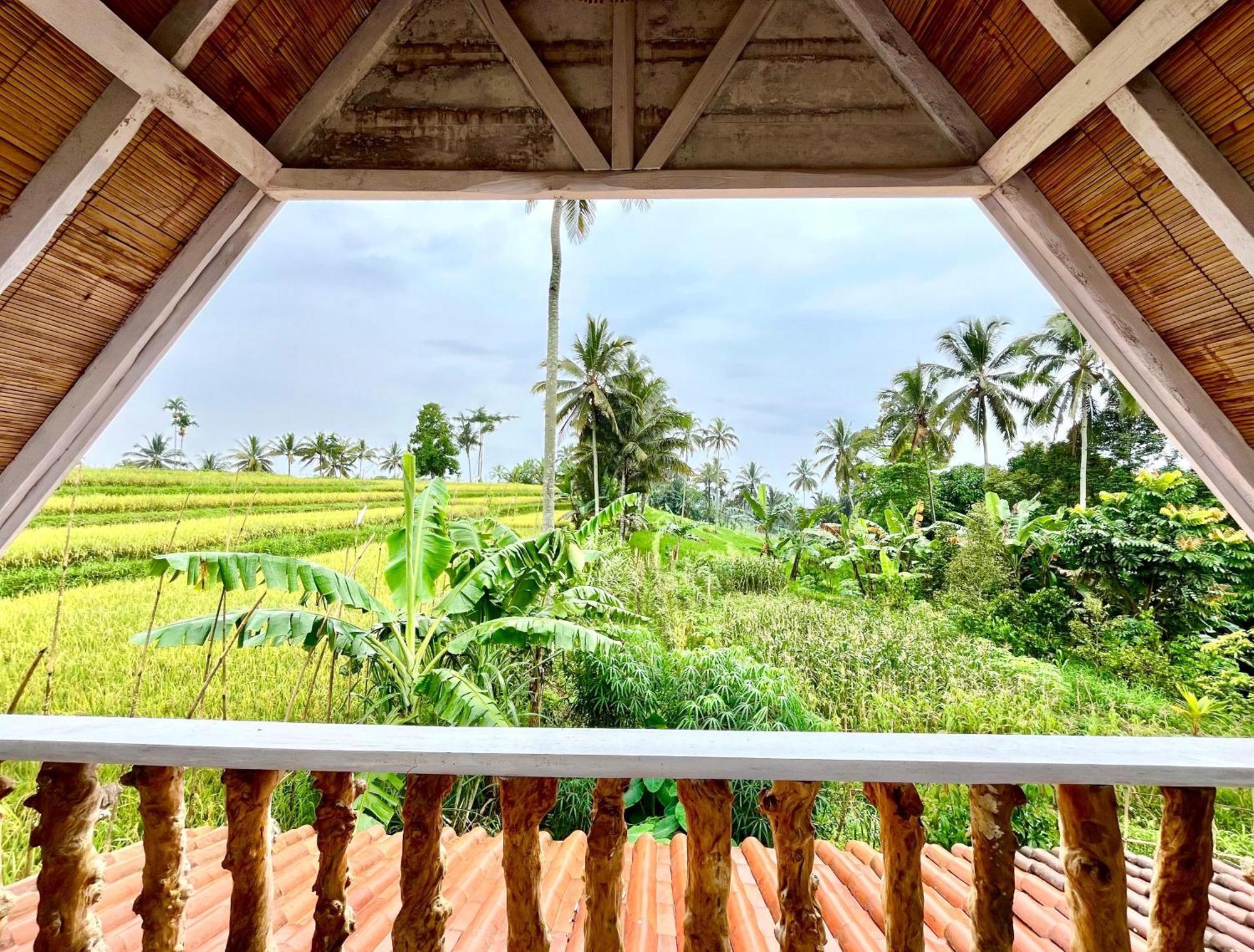Pondok Is Oke Villa Scenic View Баньюванги Экстерьер фото