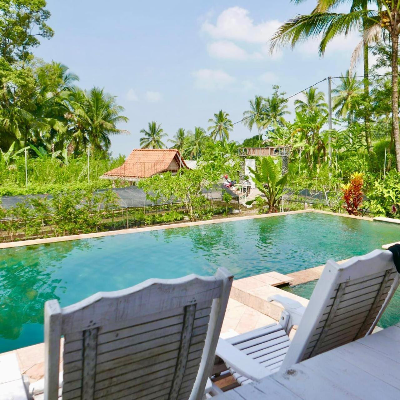 Pondok Is Oke Villa Scenic View Баньюванги Экстерьер фото