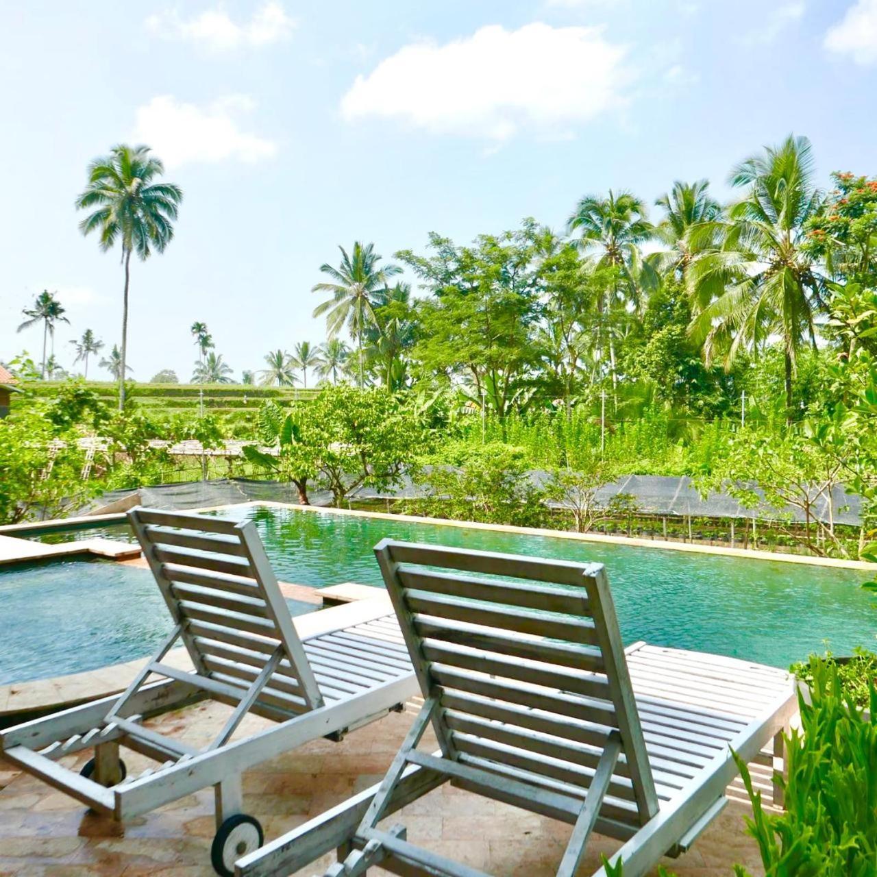 Pondok Is Oke Villa Scenic View Баньюванги Экстерьер фото