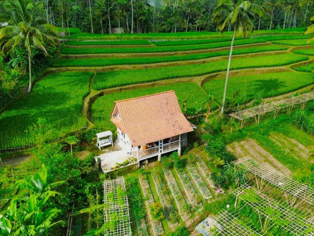 Pondok Is Oke Villa Scenic View Баньюванги Экстерьер фото