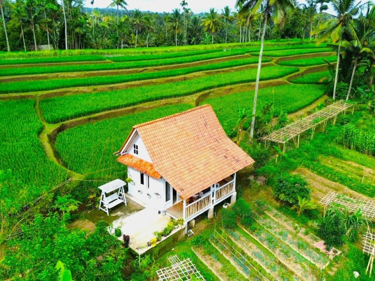 Pondok Is Oke Villa Scenic View Баньюванги Экстерьер фото